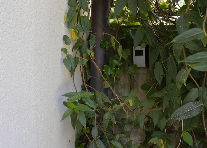 Bed & Breakfast Haus Irina Kufstein